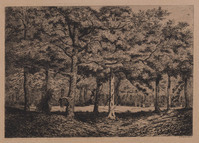 KG 08347
<br/>
Bosgezicht met houtsprokkelaar
<br/>
<em>Siccama, jhr Louis Charles Hora (1807-1880)</em>